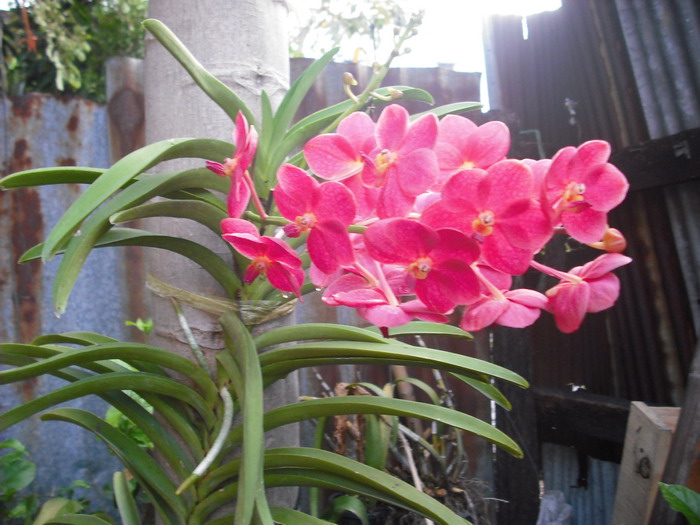 ต่อกันที่กล้องผมนะครับ ........................ สำหรับเช้า ๆ วันเสาร์ที่ 27  :smile: :smile: :smile: