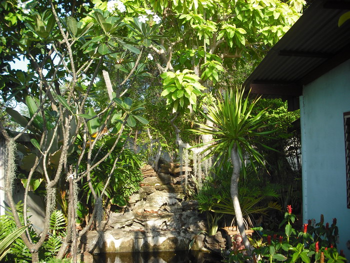 รอบ ๆ บ้านร่มรื่นน่าอยู่ครับ ................................  :smile: :smile: :smile: