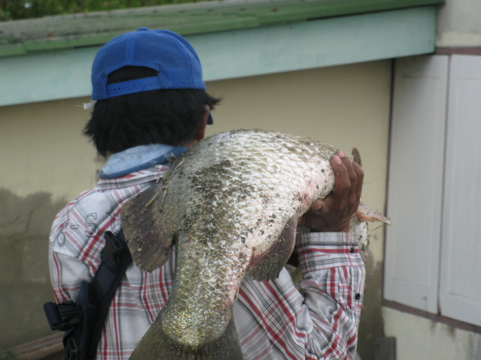  [b]แบกไป โก...โก้   ไอ้มิวนึกในใจ พ่อกรูเป็นไรวะเนีย  [/b]

 :laughing: :laughing: :laughing: