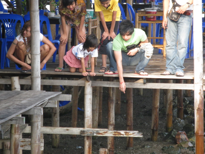  [b]บรรยากาศดีมั้กๆๆคับ[/b]

 :grin: :grin: :grin: