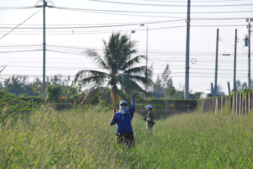 ....ยกหัวแห้ว....ให้ดูครับพ่อน้องอั้ม... :laughing: :laughing: :laughing: :laughing: