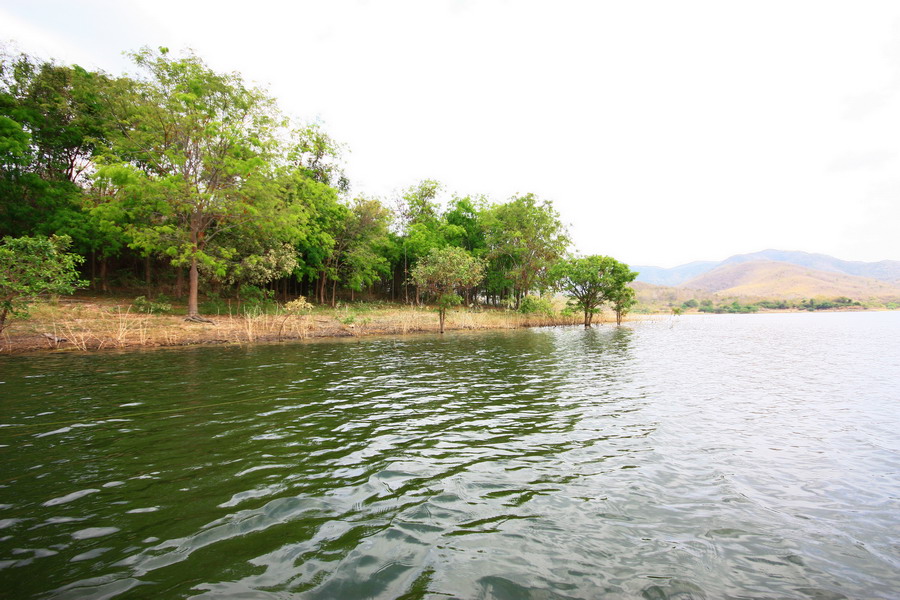บริเวณหัวแหลมของเกาะ ที่จะมีนักล่าซ่อนตัวอยู่เสมอ  :grin: :grin: :grin: