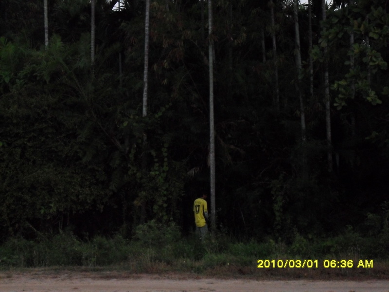 อ้าวววววว  น้องเอ็กซ์รดน้ำต้นไม้  ซะงั้น :laughing: :laughing: :laughing: :laughing: