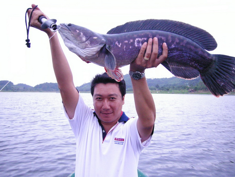     เอามาให้น้ำลายหกเล่นๆ ..  !!!!     นะหนูพล .....






















  
