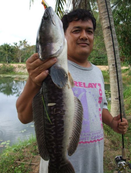 บอล.....อยู่ไหน.....เดียวเราเจอกัน........ที่