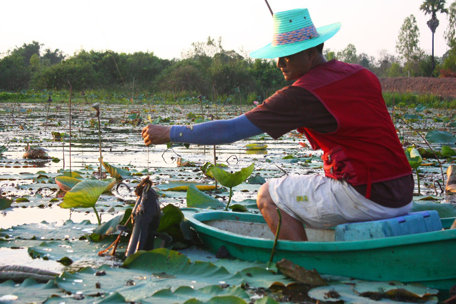 โห...วิธีเอาปลาขึ้นเรือ....เพื่อนเรา... :laughing: :laughing: :laughing: :laughing: