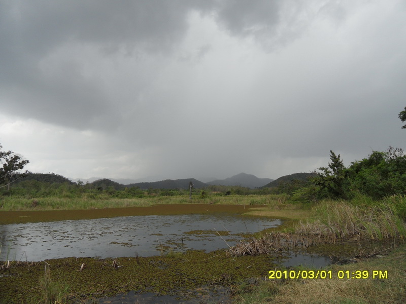 ฝนมาแล้วครับ   ย้ายหมายอีกแล้วครับ :smile: :smile: :smile: :smile: