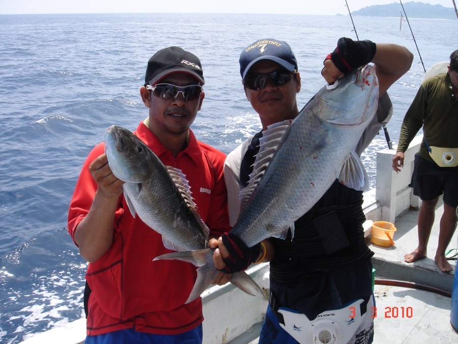 นี่ก็ปลา ...( ยืม ครับ ) jigging ครับ. :cheer: :cheer: :cheer: