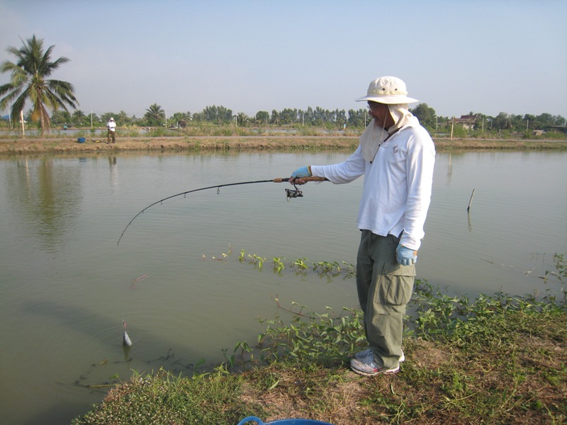 

มาดู...โปร์.....ตก.....กัน...บ้าง......


หน้า..ตาดู....ดี....ฝีมือ...เป็นเลิศ.......เขาตก...