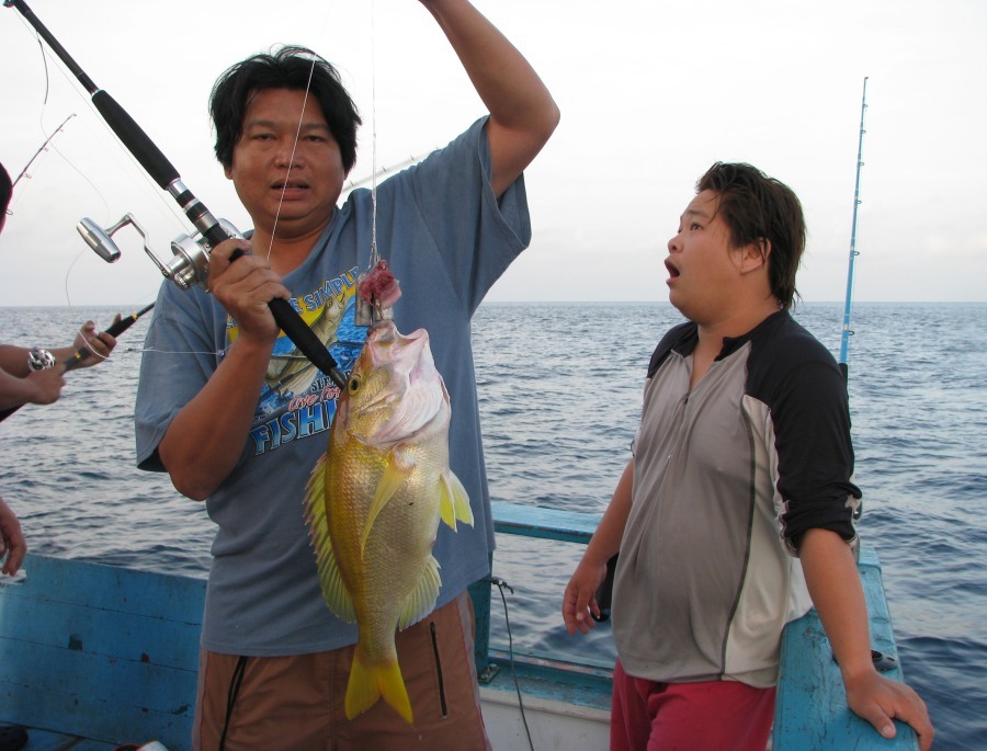 ขึ้นมาแล้ว....เหลืองอินเดีย....ส่วนเจ้าเอ็กซ์หลุด(เพราะสั้น) :laughing: :laughing: