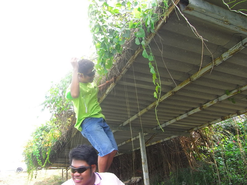 แป้งนึกภาพเมื่อวานแล้วยังนั่งขำอยู่เลยเนี่ย

 :laughing: :laughing:

อยากให้ทุกๆ คนได้ไปเห็นจังเ