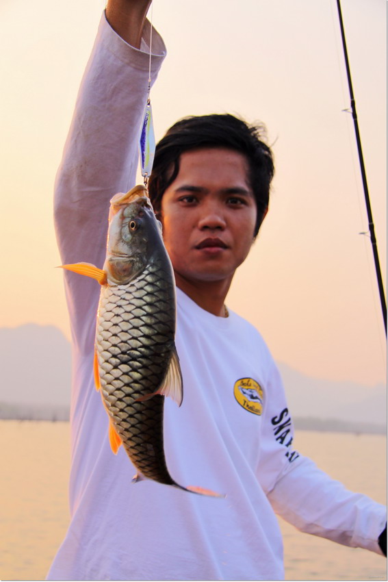                                                                                ไซร์พอไ
