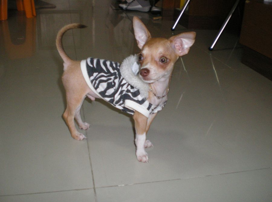 [q][i]อ้างถึง: jackky posted: 09-03-2553, 13:05:26[/i]

พี่โนชตกแ