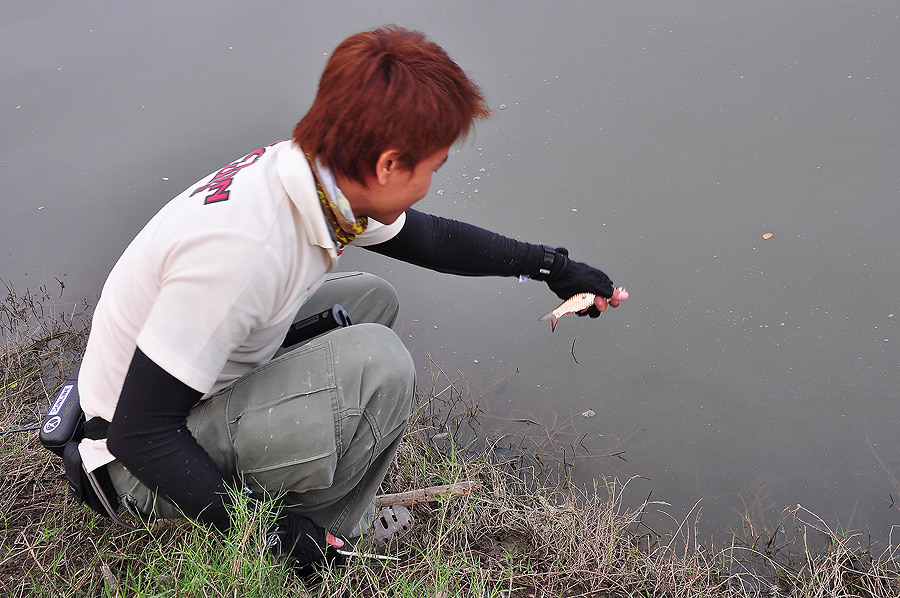 เจ้าต่ายเค้าว่า............กลับบ้านไปเถอะ