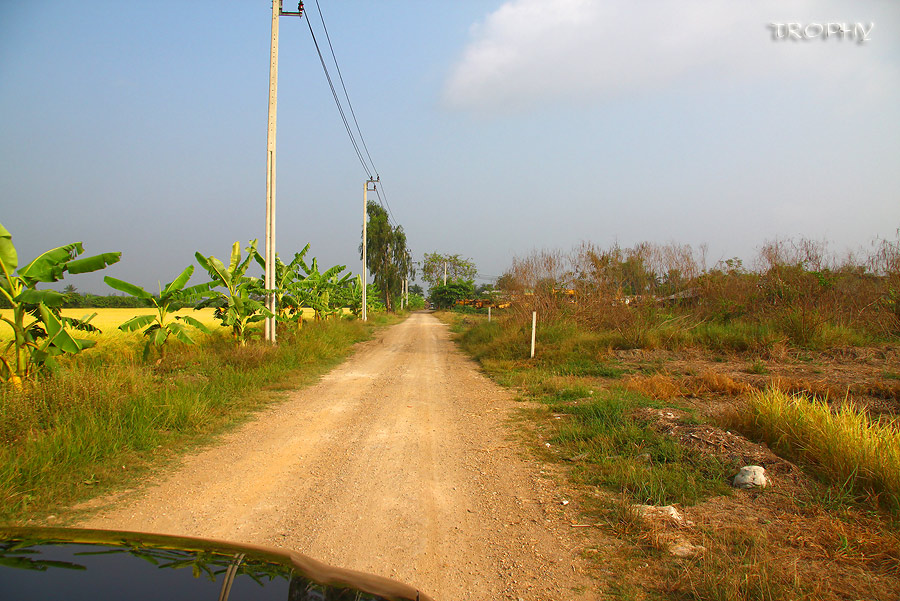 ทางเข้าบ่อยังเป็นถนนลูกรังเหมือนเดิม แต่เรียบขึ้นไม่เป็นหลุมเป็นบ่อแล้ว วิ่งได้สบายหน่อยครับ  :smile