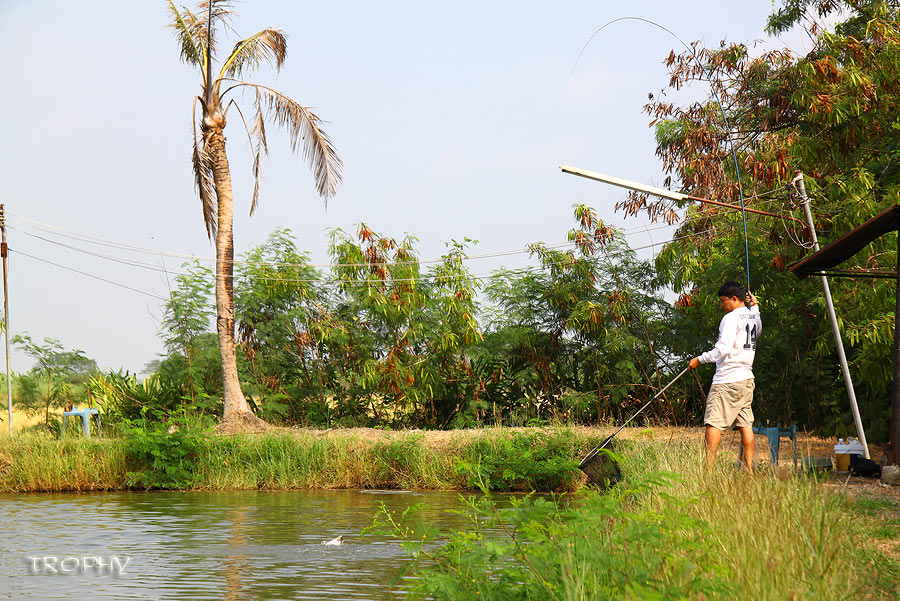 หันไปด้านข้าง น้ากะปุกได้สอยปลานิลใหญ่ขึ้นมาเหมือนกันครับ  :smile: