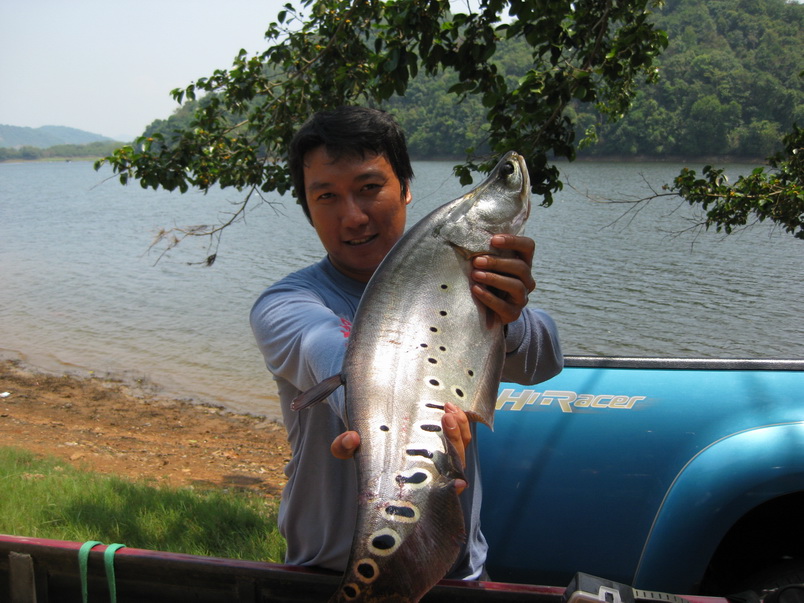 
ในเรือถ่ายไปแค่สาม .... ขอบนบกอีกหน่อยนะครับ ... ++  ตัวแรก .... ก็ติดใจแล้วครับ  :grin: :grin: :g