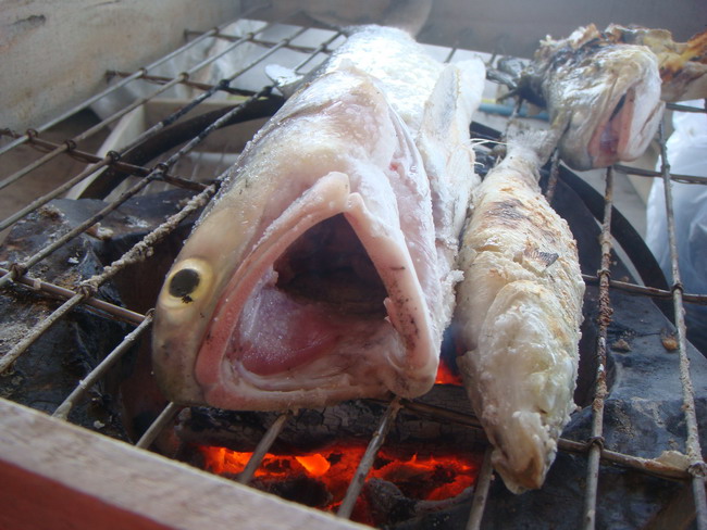  :umh: :grin: :grin: :grin: :grin: