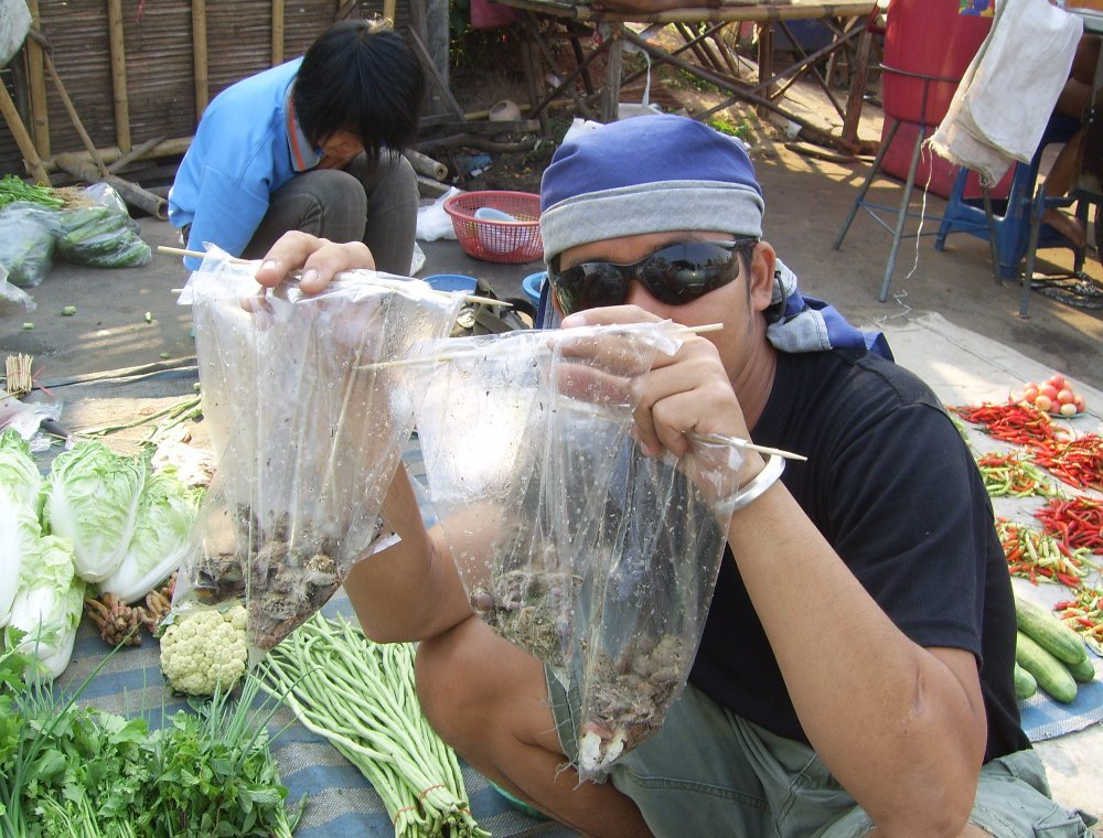 ไปรวมตัวกันที่ อำเภอเขื่องใน แวะตล