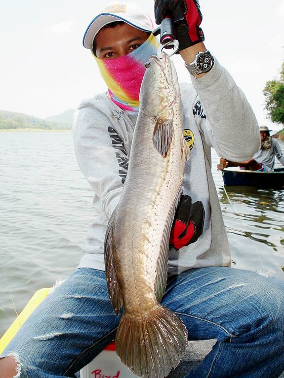 

........ :smile:........อีกท่านึง....เป็นไงล่ะ....... :laugh