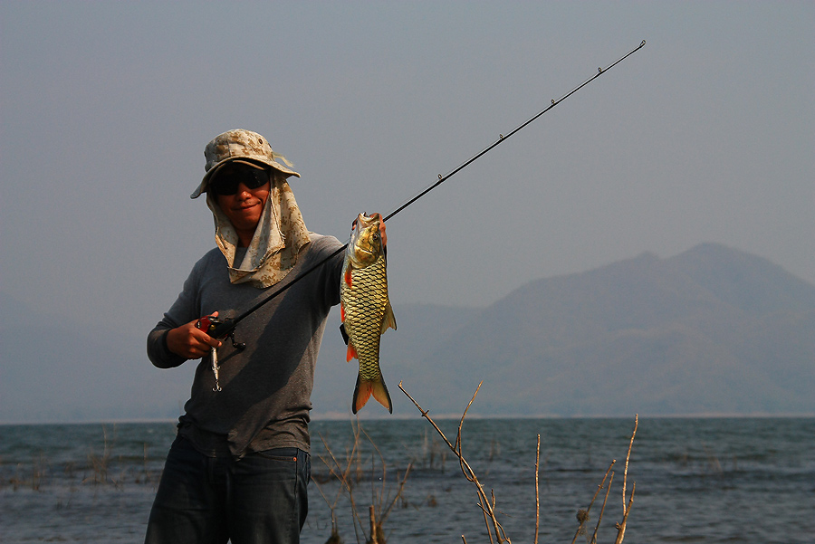 ย้ายมาอีกเกาะ...ลงเรือปุ๊บ พงเต๊บมาดยังเดินสะเงาะ สะเเงะอยู่เลย....
น้าเอ ก้อหวดเหยื่อไปโดนมาอีกตัว