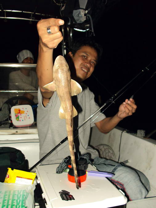 ตกจิ้งจกมาทำไมเนี่ย ปล่อยไป ไม่ได้ช่วยเพิ่มโปรตีนเลยเนี่ย :mad: :laughing: