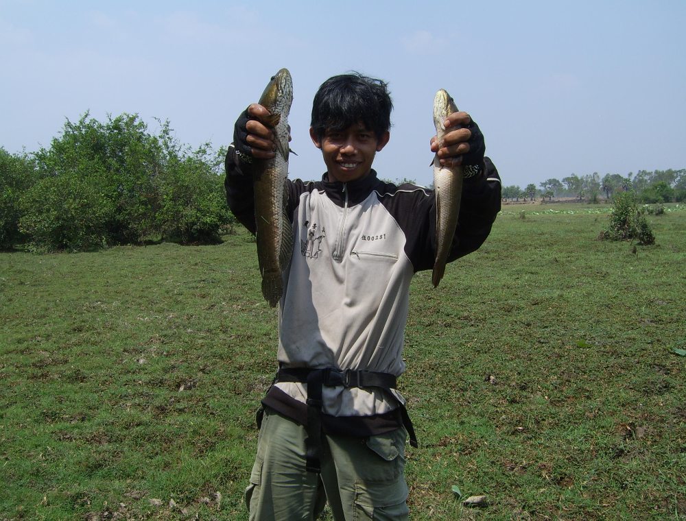 [q][i]อ้างถึง: fridaynoop posted: 16-03-2553, 09:22:02[/i]

หวัดดีจ้