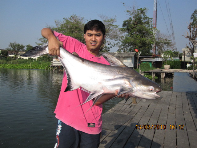 เจ้าโดม