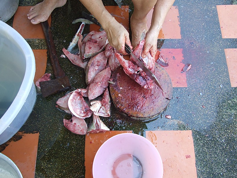 หลังจากไปทำธุระกลับมาก็เจอแม่กำลังทำปลาครับ :laughing: :laughing: :laughing: