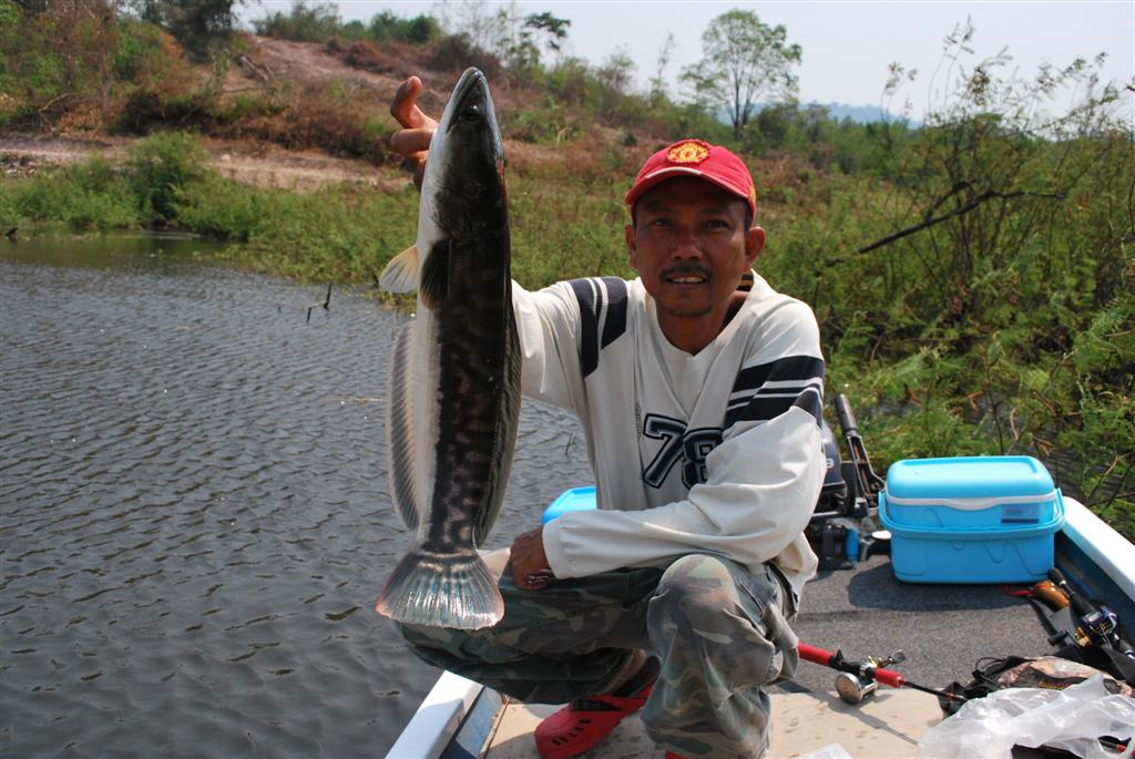 

ได้หล่ออีกแระ                :laughing: :laughing: :laughing: