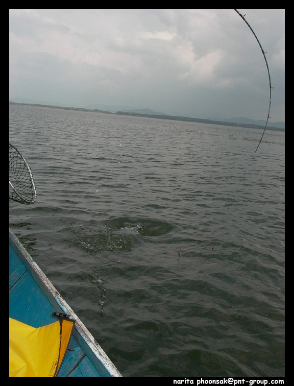 [q]fishingjoke  +++++ครับ     [/q]
สวัสดีครับน้า fishingjoke  ขอบคุณมากครับ

[q]saltiga [/q]
สวั