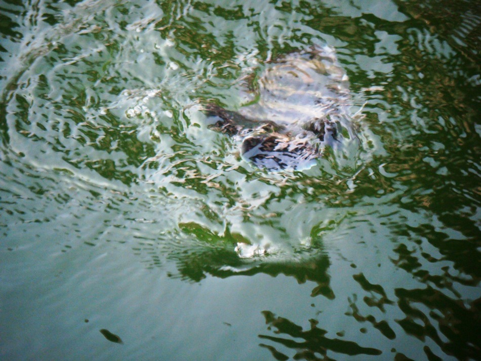 [q][i]อ้างถึง: IsSuE` posted: 20-03-2553, 13:07:15[/i]

ตามชมด้วย
