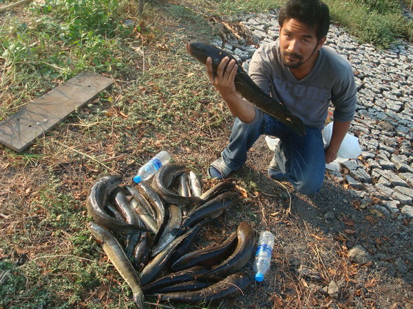 จบกันด้วยภาพสุดท้ายนี้ครับ...
สวัสดีครับทุกๆท่าน ขอบคุณที่เยี่ยมชมครับ 
Enjoy Texas Mr.Shark......