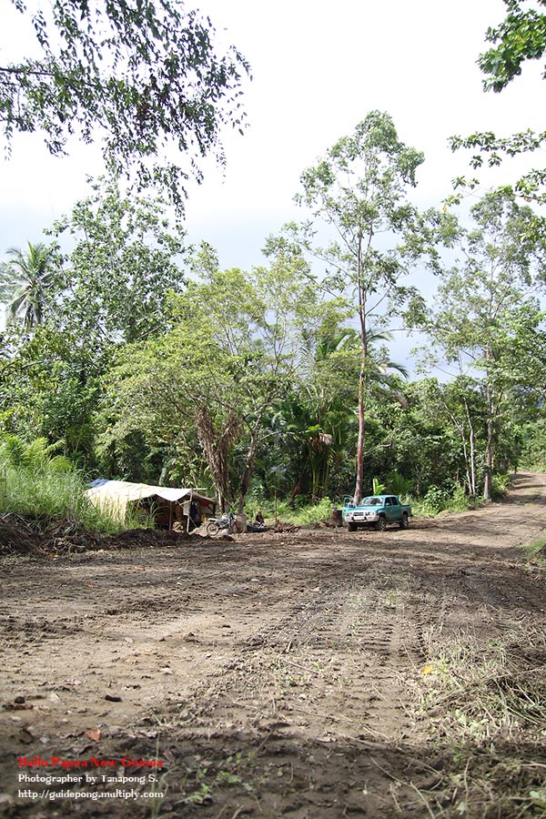 คนไทยเรามารับเหมาก่อสร้าทางให้กับทางรัฐบาลปาปัวนิวกินี 
ตัดเส้นทางผ่านป่าแล้วตัดไม้ซุงมาขายเพื่อส่ง