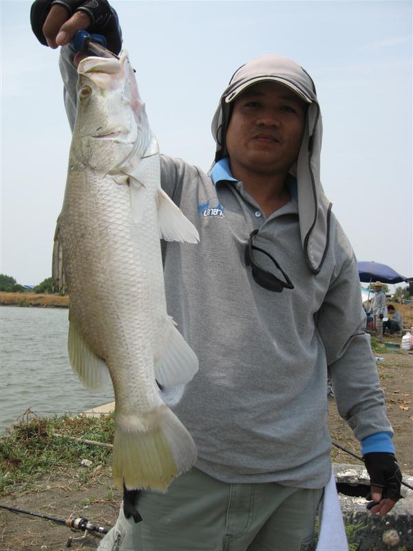  หล่อ:cool: :cool: :cool: :cool: :cool: :cool: :cool: :cool:


..........................