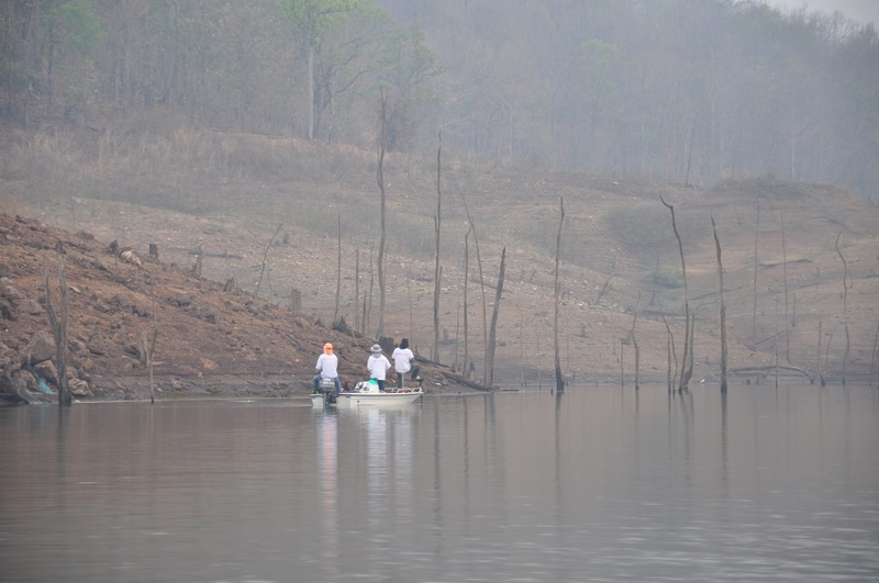 เรือจาก สายเหนือ นี่เอง
