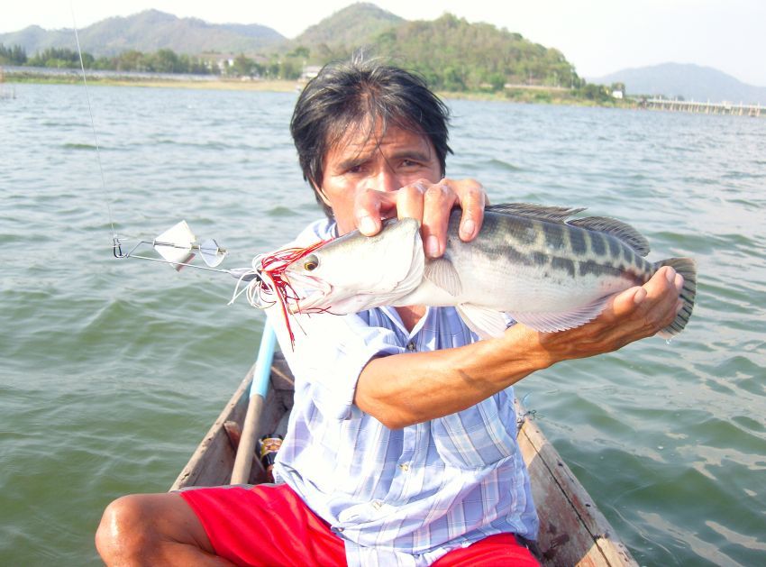 ไต๋โด่งจับขึ้นเรือแล้วเร็วจังครับ 