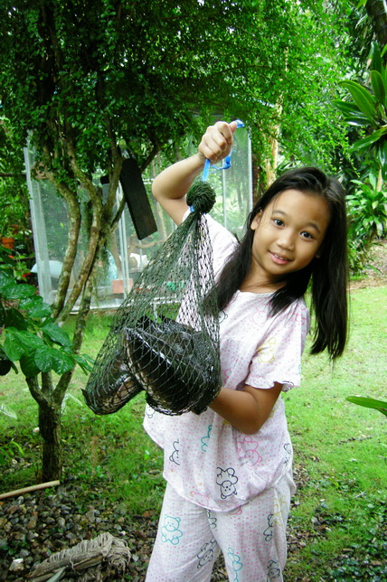 

  :grin:  ในกระชังมีอีกสองครับ :grin:






 [q]สงสัยจะโดนห่อหมก (รึป่าว) ถ้าห่อส่งมาพลา 