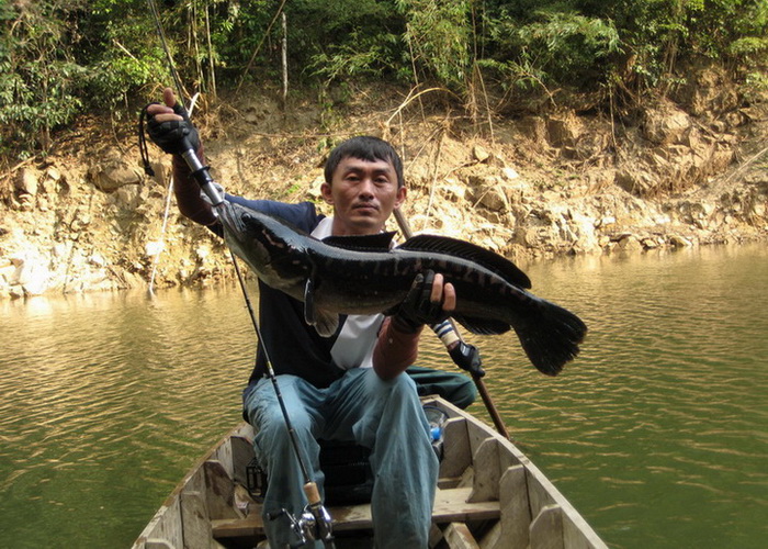 เป็นปลาจับคู่ครับ ใหญ่สำหรับผมครับ :grin: