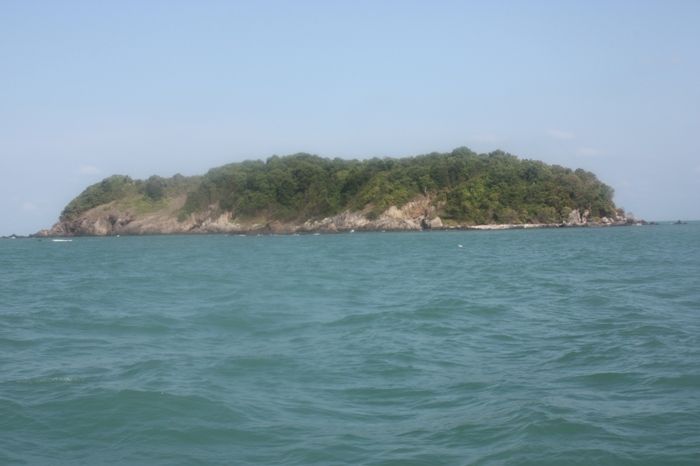 เกาะแมว
