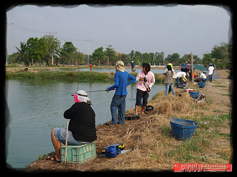 บรรยากาศ รอบๆ บ่อครับ วันนั้น ถึงจะมีแดดพอสมควรแต่ก็มีลม พัดตลอดครับ  :grin: :grin: :grin: