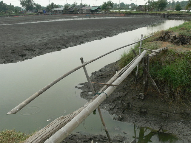 สะพานนี้ อีเต๋า พอลุ้น
แข็งแรงใช้ได