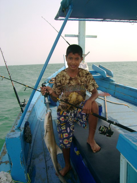 เรือจอดได้แปปเดียวตัวแทนวีซ่านำไป