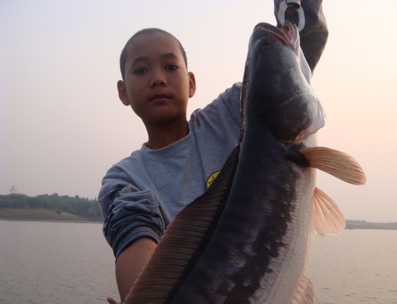 โปรดรีมครับ

โปรดรีมตีแต่สปินเนอร์

เอาสปินเนอร์ปลาช่อนไปตีดมๆ  กินแต่ง้างทุกทีครับ


 :laugh