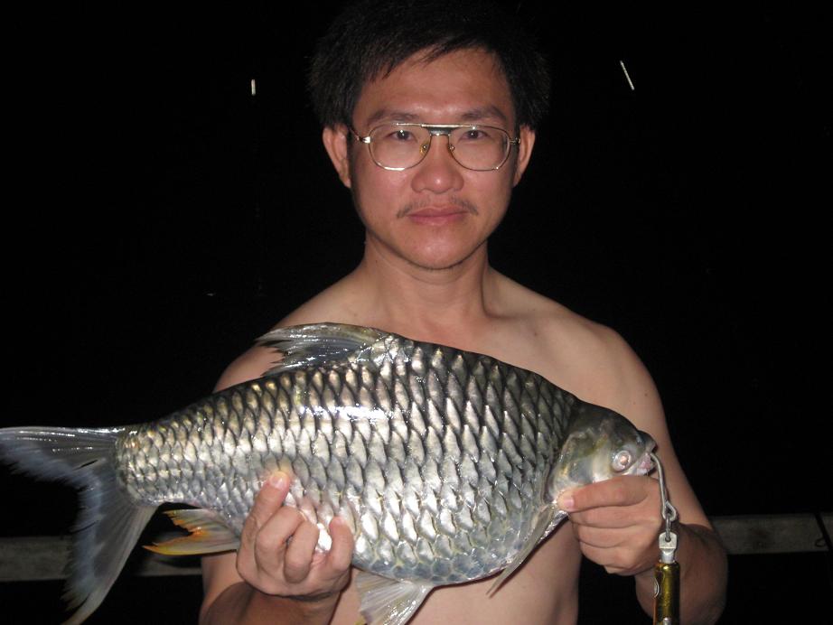 น้าชิน.................ปลาแห้ง :love: :love: