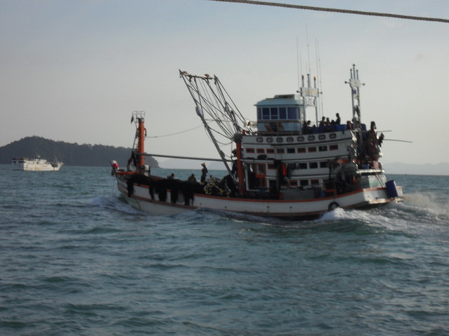 เรืออวนนำปลามาขายที่แพปลาภูเก็ต