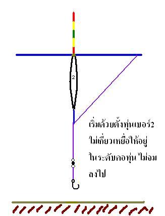 การตั้งทุ่นชิงหลิวแบบสามเกลอ