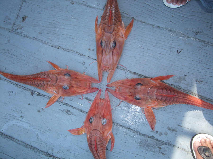4สหาย