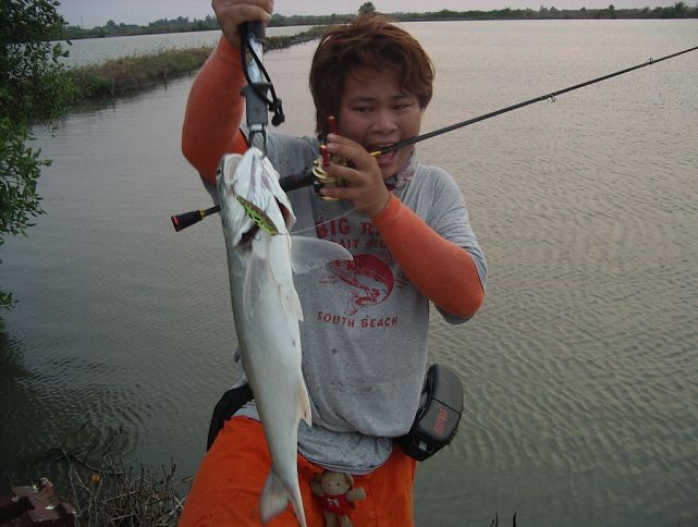  :grin: :grin:พี่ตึก บอกให้คาบคันหน่อยจะได้เหมือนโปรบ้างอะคับ 5555555555 :grin: :grin:


