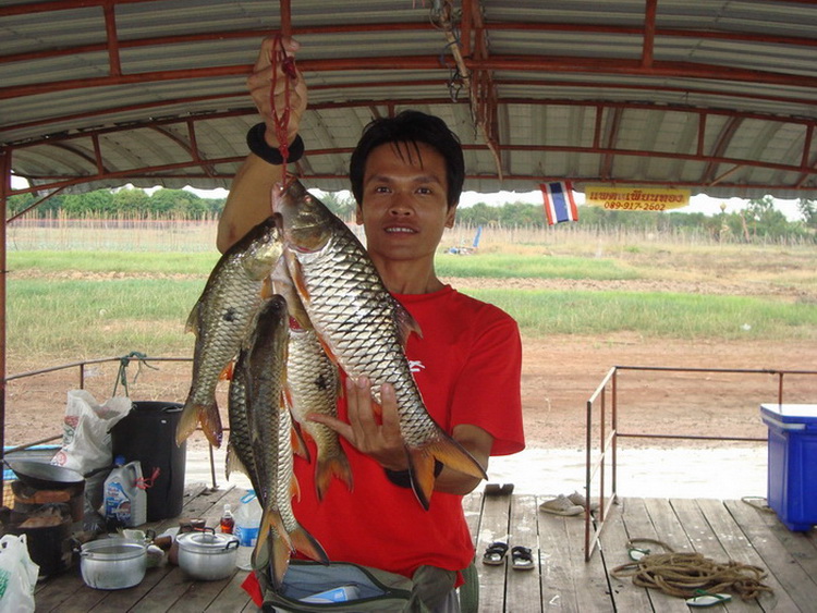 หลังจากนั้นก้อไม่มีอะไรเกิดขึ้น เพ